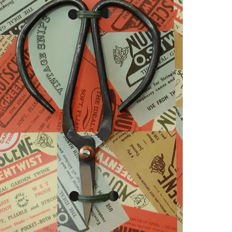 These gardener's scissors are universal scissors and can be described as Bonsai scissors, flower snips and Chinese Butterfly scissors.  Whatever you want to call them, they are extremely sharp and useful.