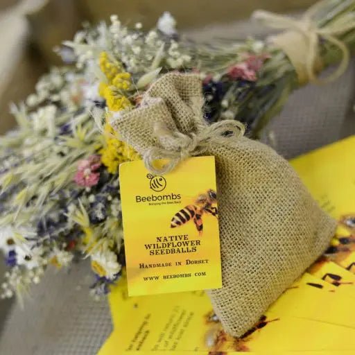 native wildflower seed balls Beebombs ''Native wildflower Seed Bombs''